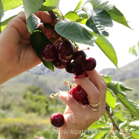 Buhardilla Rustica En La Vall De Gallinera