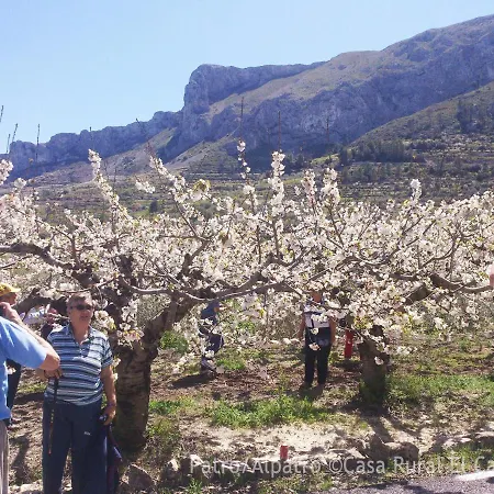 Buhardilla Rústica En La Vall De Gallinera *