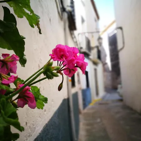 Aparthotel Buhardilla Rustica En La Vall De Gallinera *
